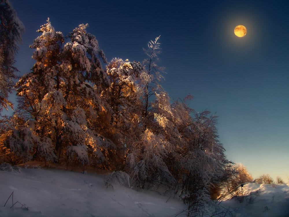 Зимним вечером