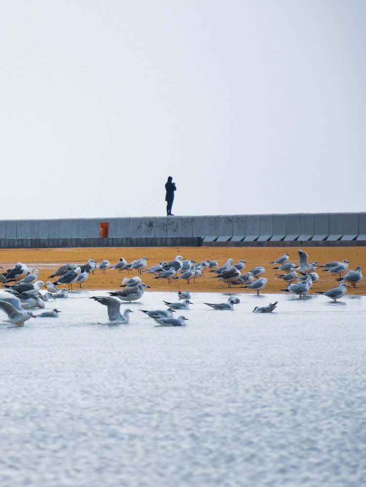 Photograph by Farshad Yazdankhah