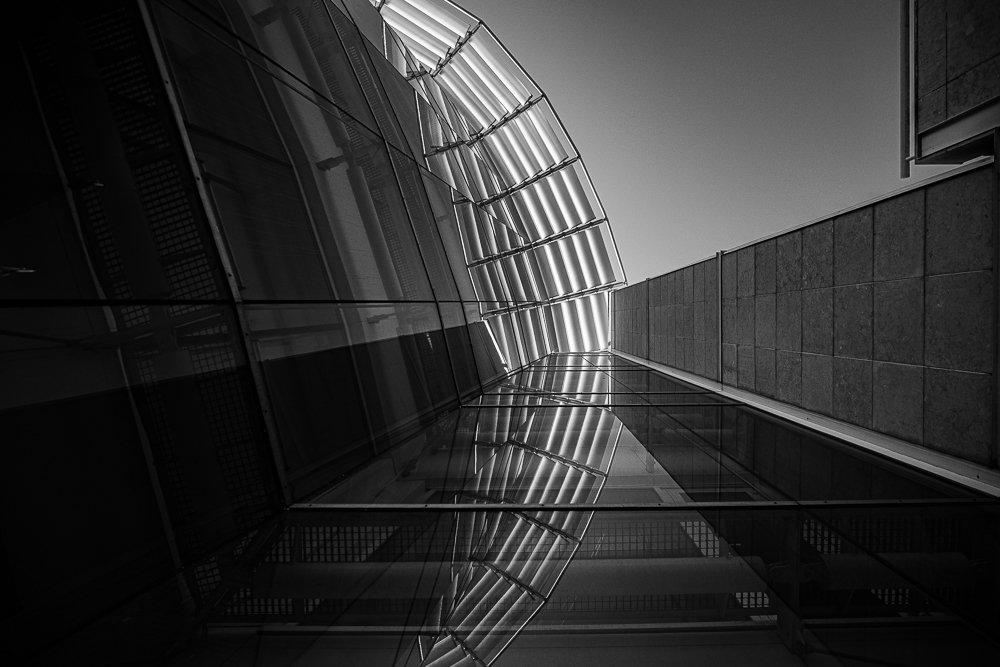 Photograph by Ricardo Marques