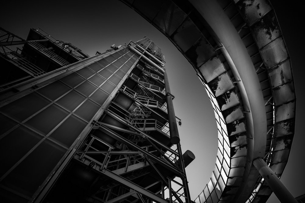 Photograph by Ricardo Marques