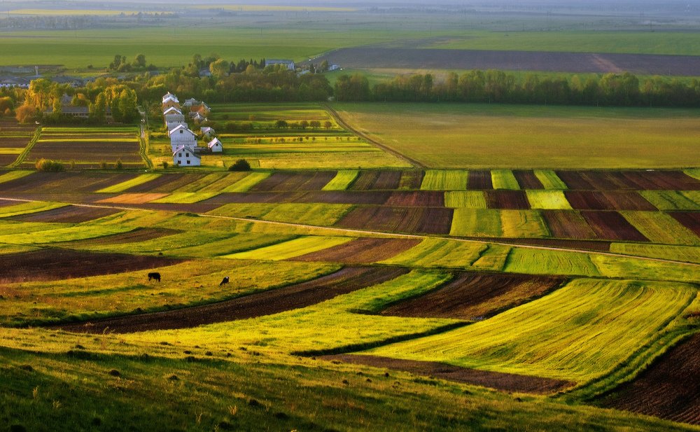 Весенне-полевой паттерн