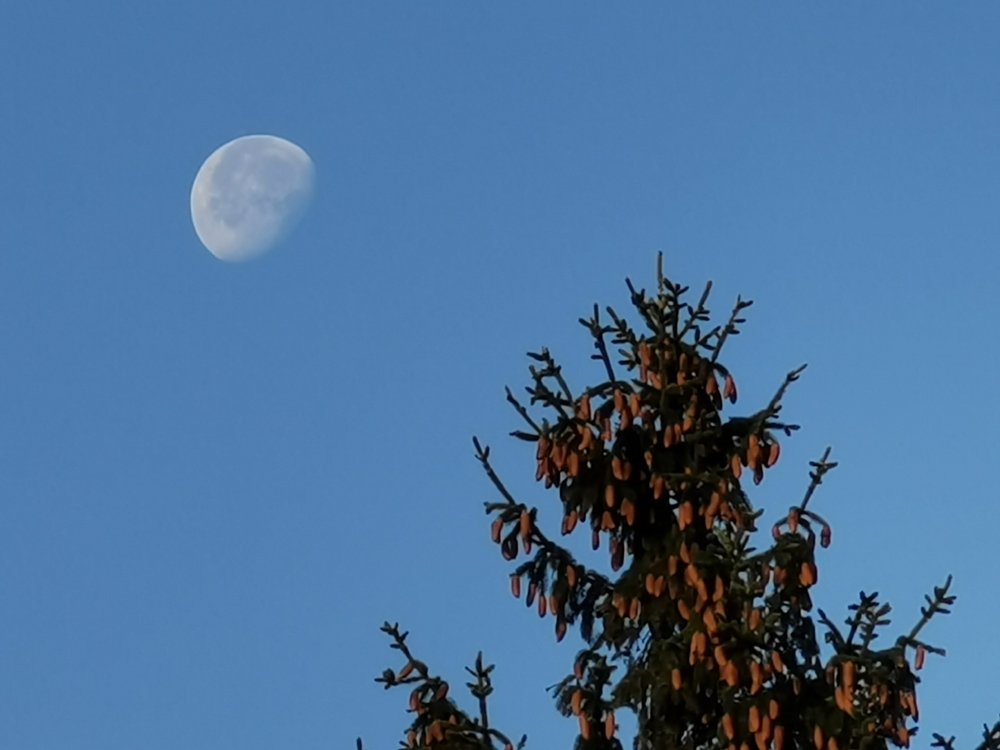 Доброе утро!