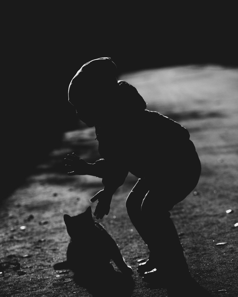 Photograph by Алексей Пигуренко