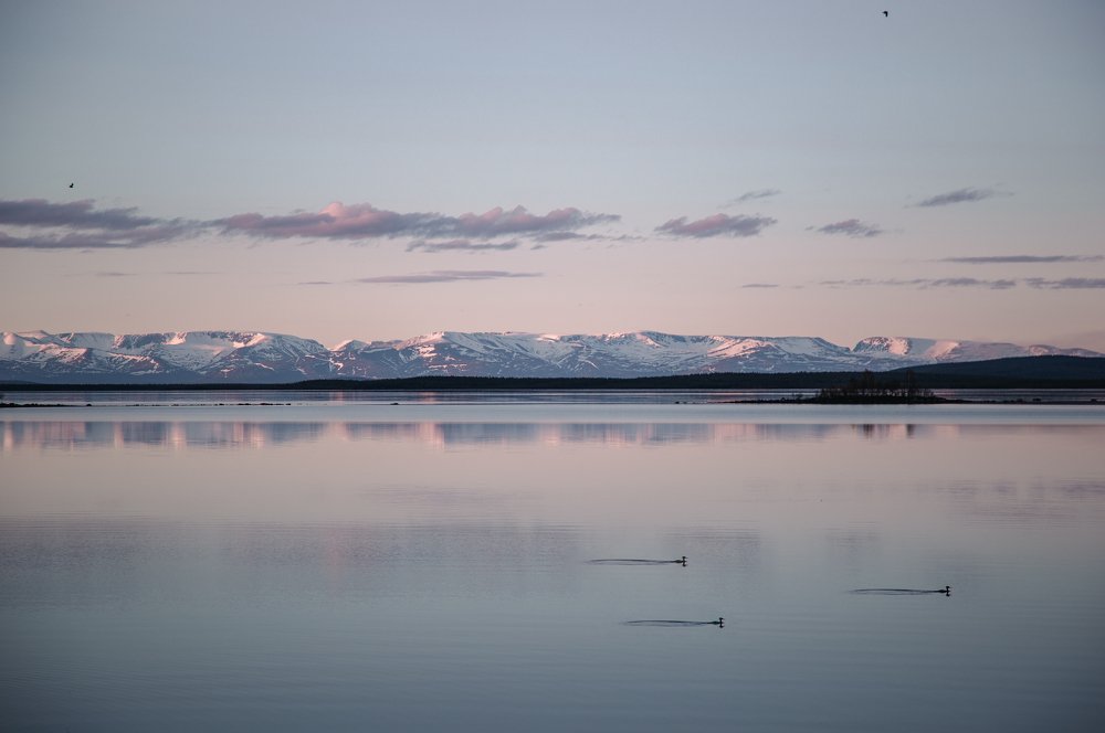 Photograph by Алексей