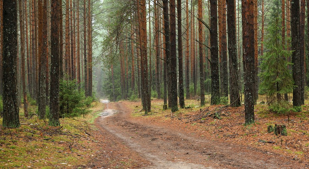 Photograph by Олег Фокин