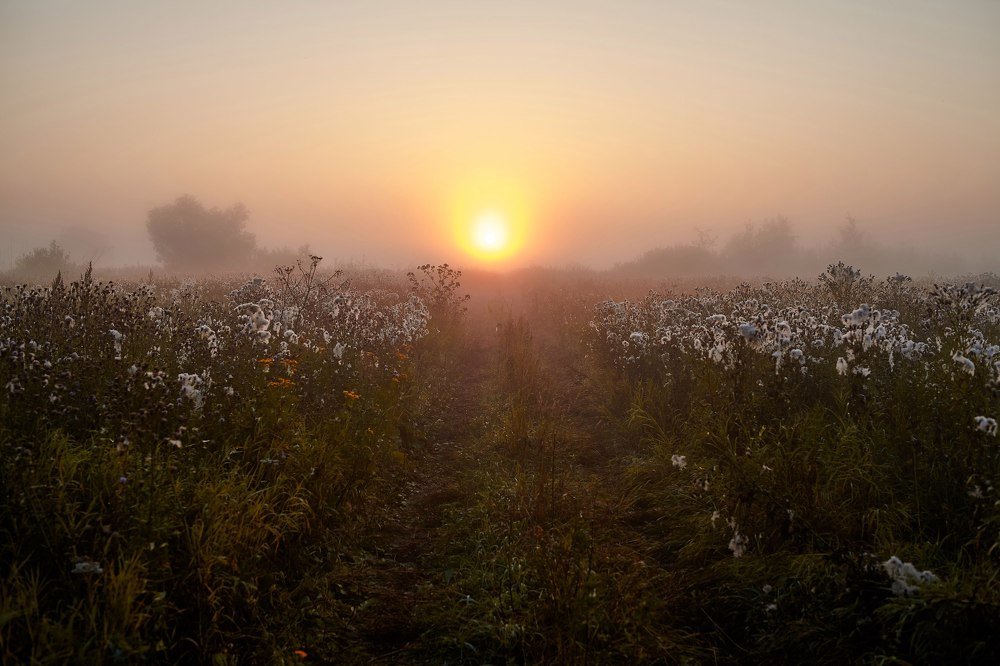 Photograph by Александр Батусов