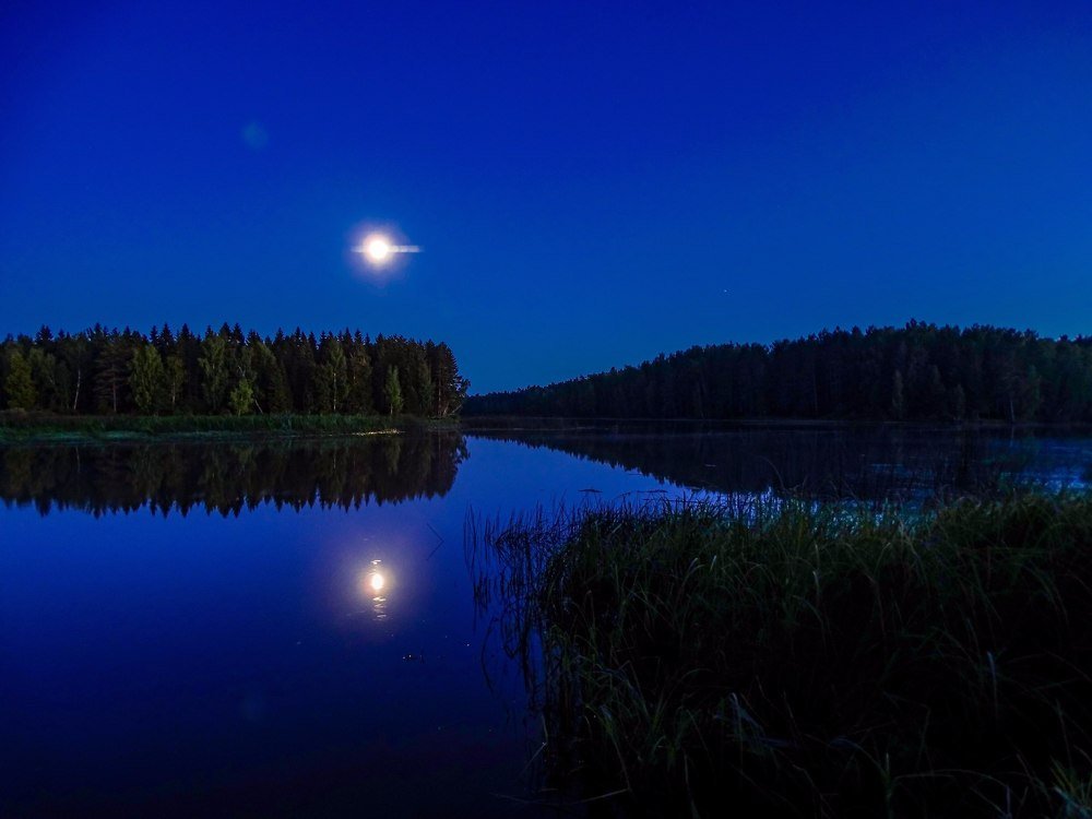 Photograph by Алексей Глухов