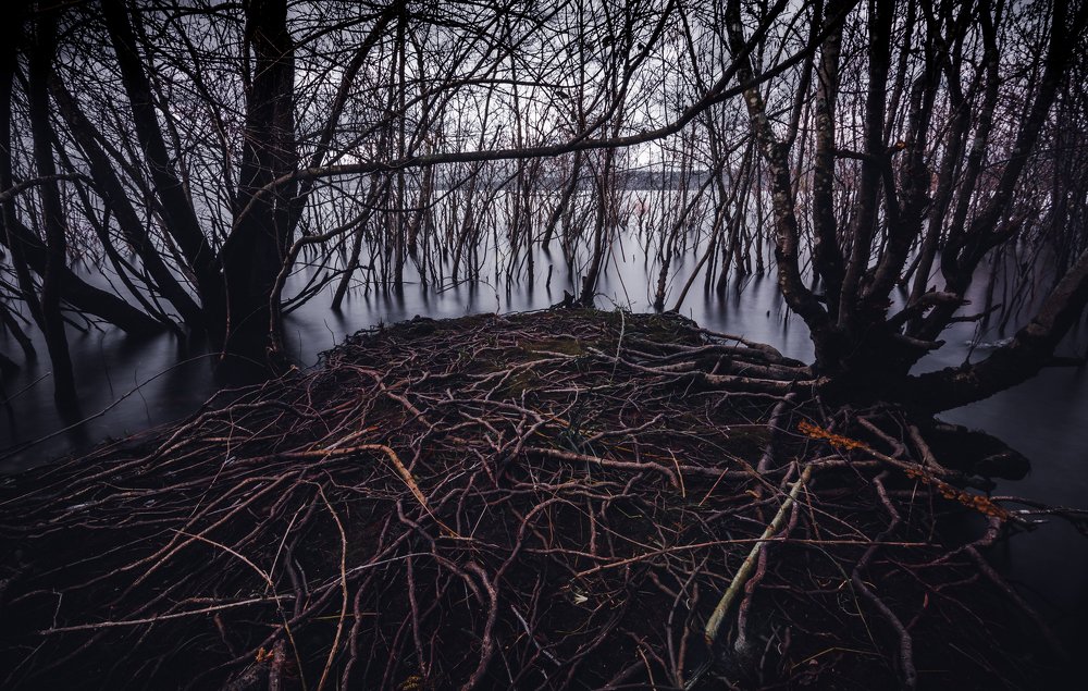 Photograph by Sebastian Rene Graf