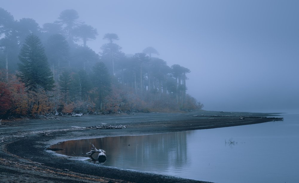 Photograph by Sebastian Rene Graf