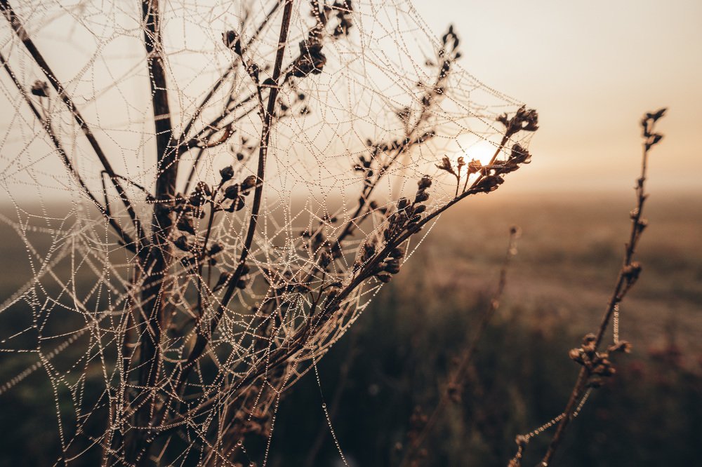 Photograph by Сергей