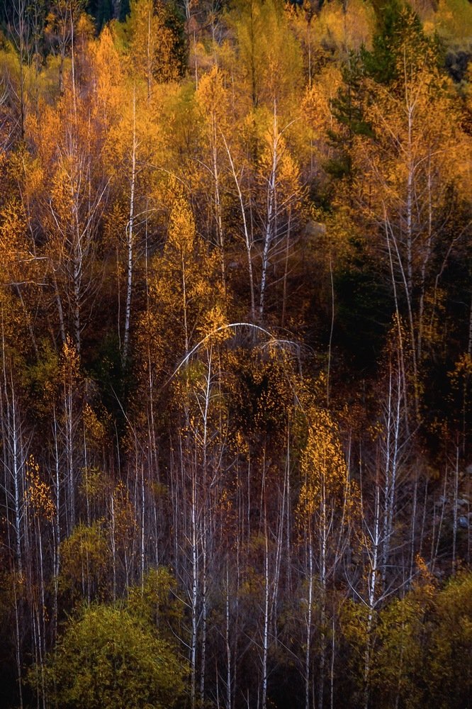 Photograph by Айсултан Каражигитов