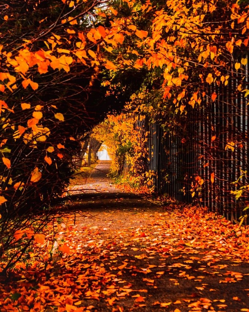 Photograph by Айсултан Каражигитов