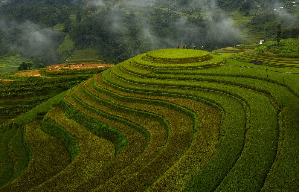 Photograph by Ngọc Đỗ