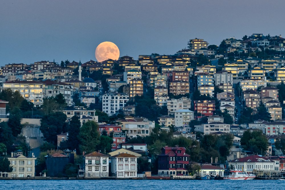 Photograph by Дмитрий Ильин