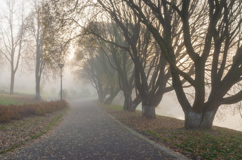 Photograph by Roman Dmitriev