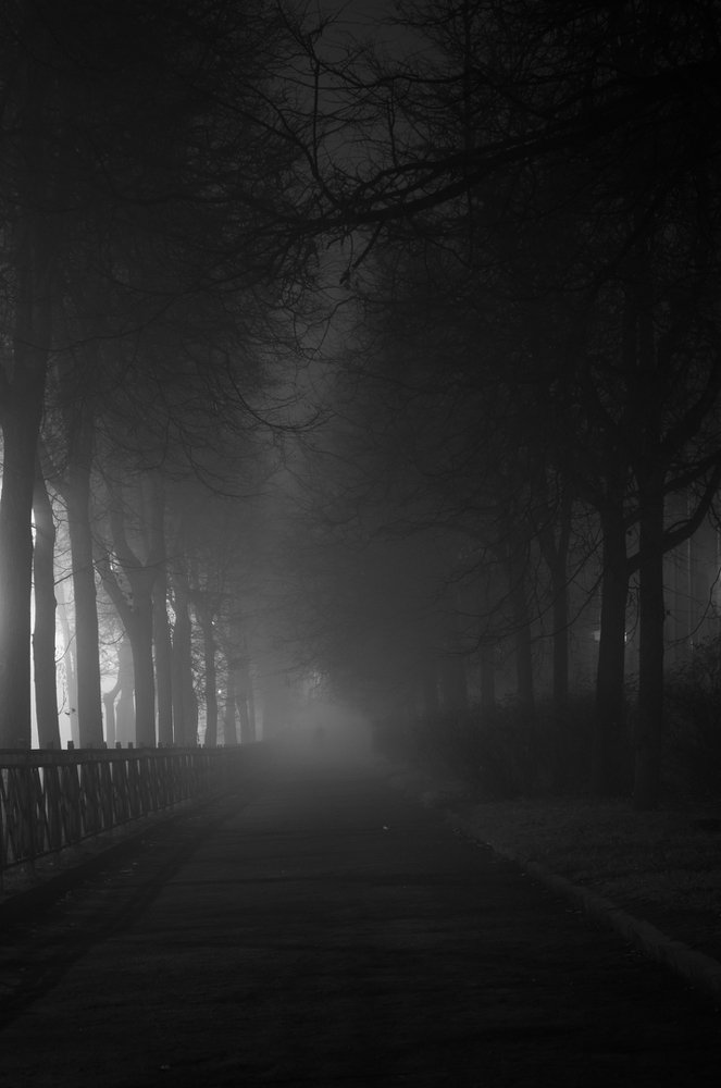 Photograph by Roman Dmitriev