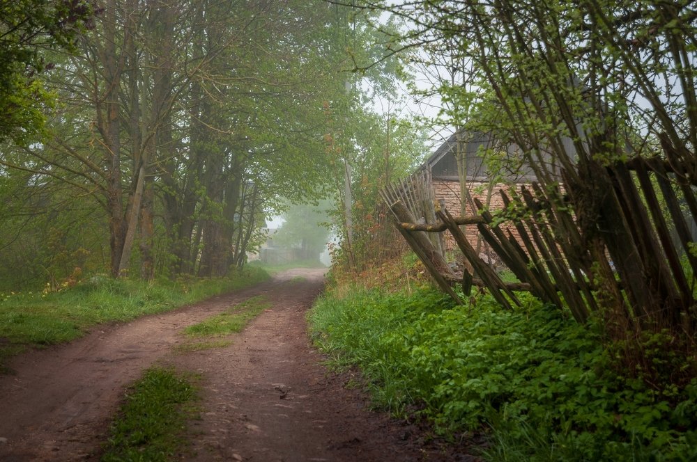 Photograph by Roman Dmitriev