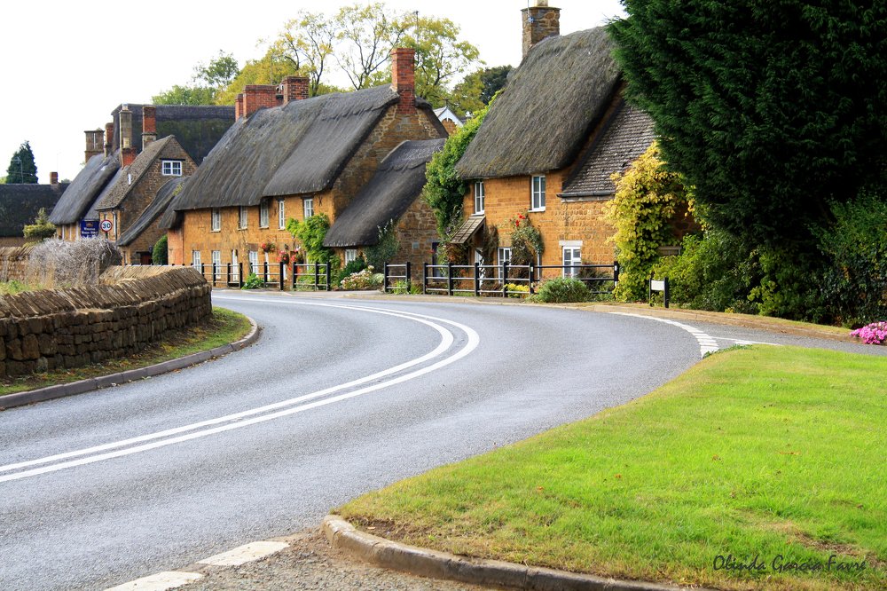 Photograph by Olinda Garcia Favre