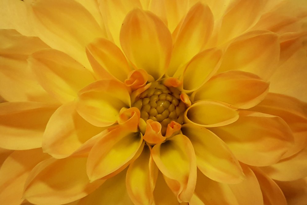 Photograph by Erdogan DEDE