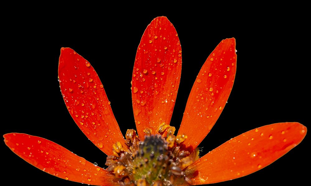 Photograph by Erdogan DEDE