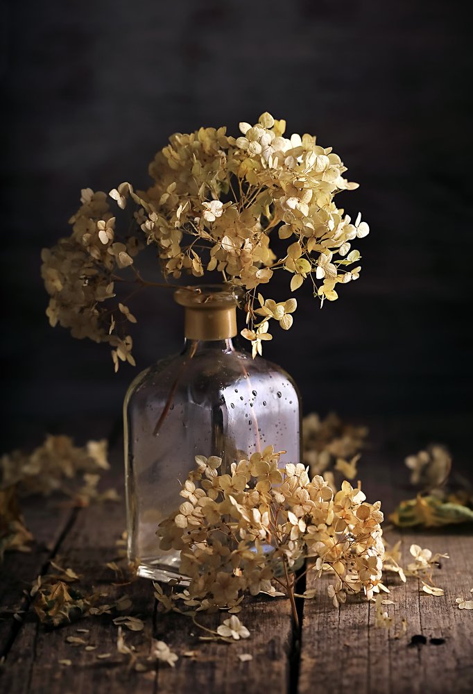 Photograph by Наталья Бочкарева