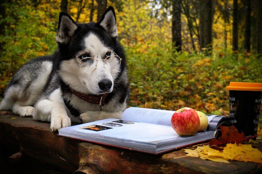 Photograph by Alin Ka