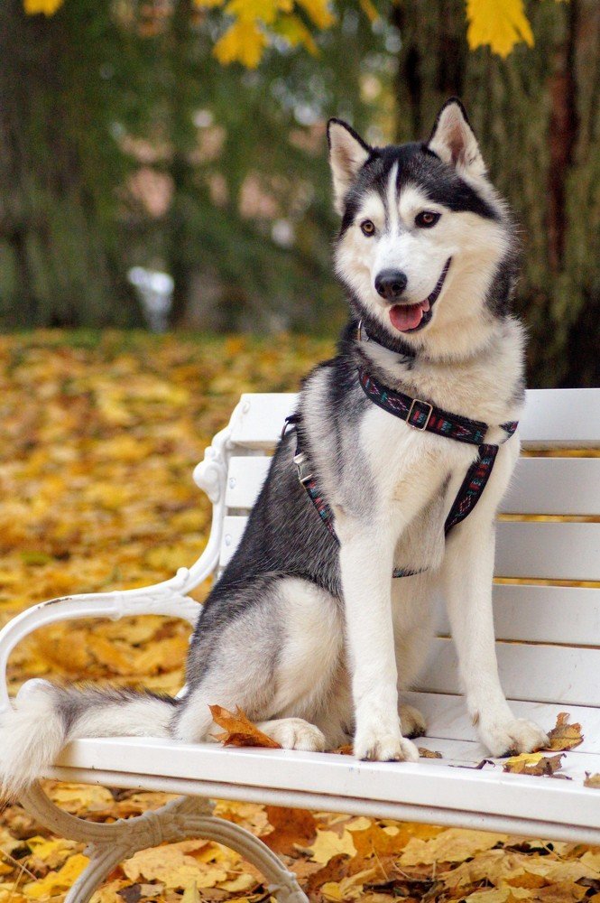 Photograph by Alin Ka