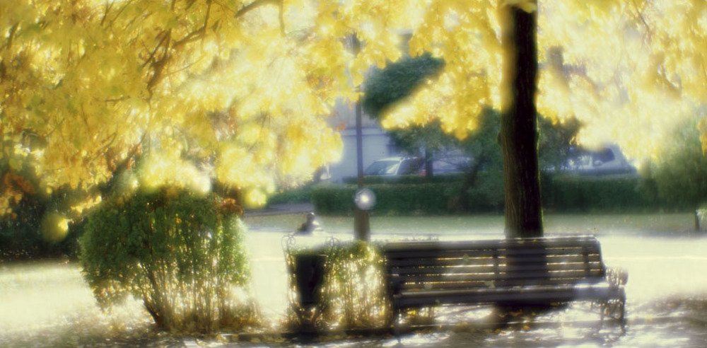 Photograph by Алексей Заморкин