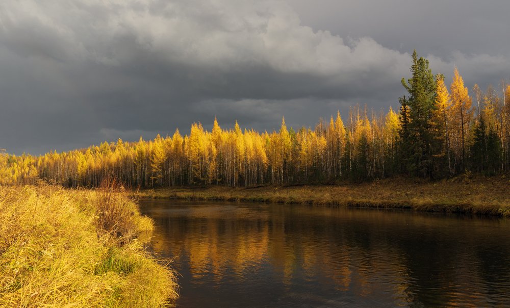 Таёжная река