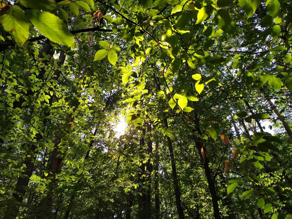 Photograph by Инна