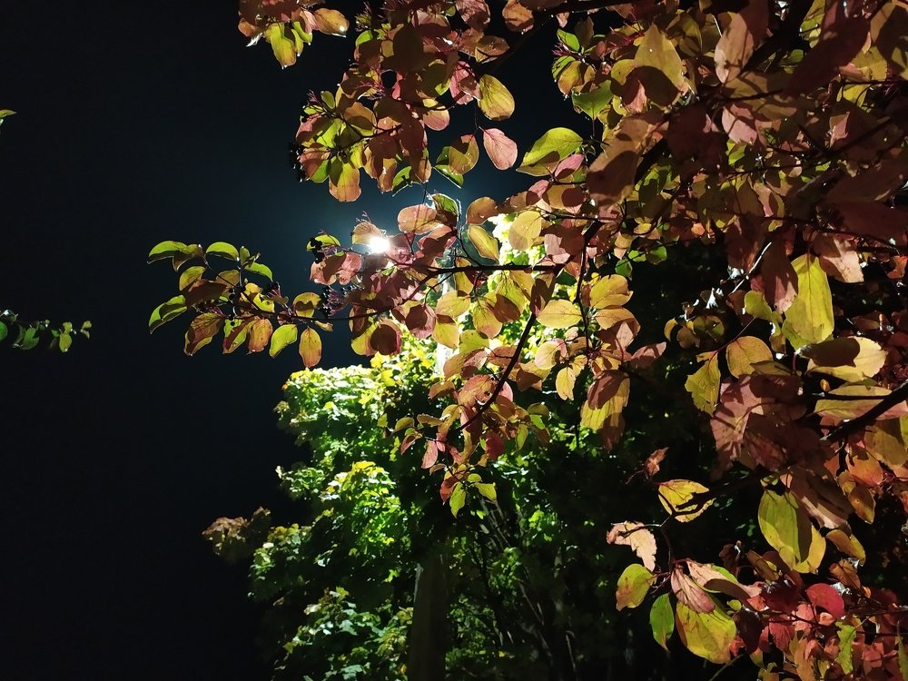 Photograph by Инна