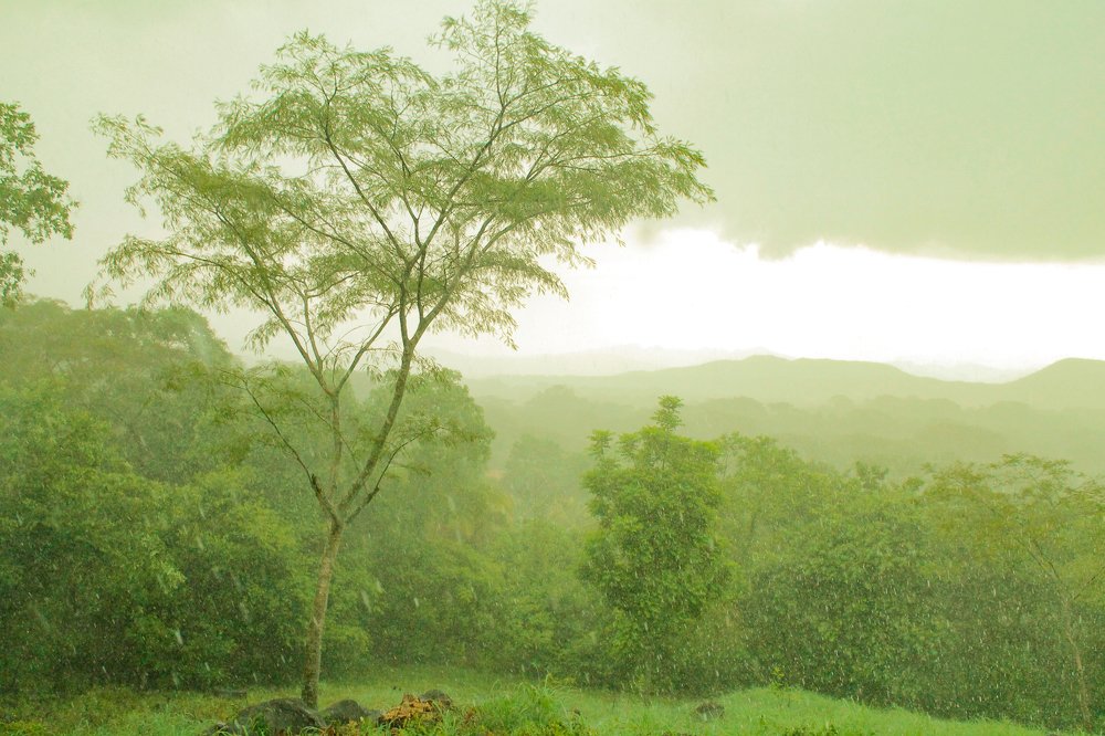 Photograph by Jesus Santamaría