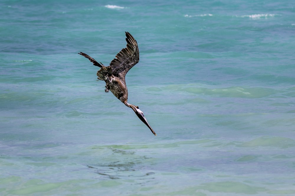 Photograph by Армен Майтесян