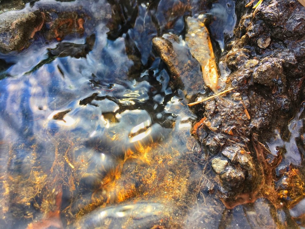 Photograph by Анастасия Глушкова