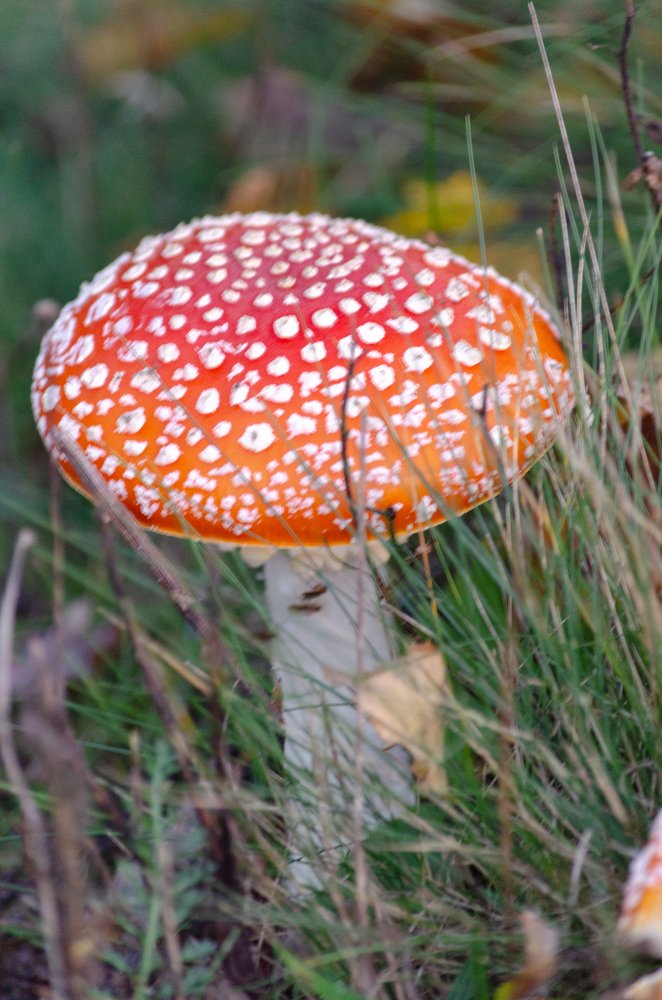 Фотография автора Muhammad Haris