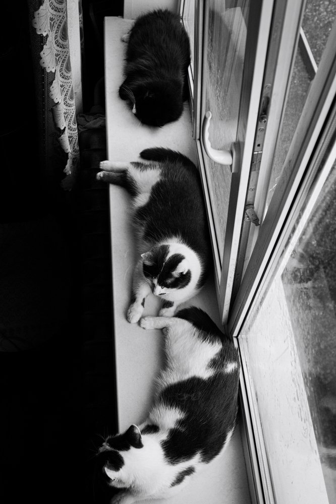 Photograph by Ольга Корчагина