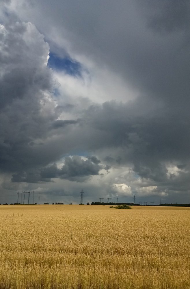 Photograph by Чернякова Анна