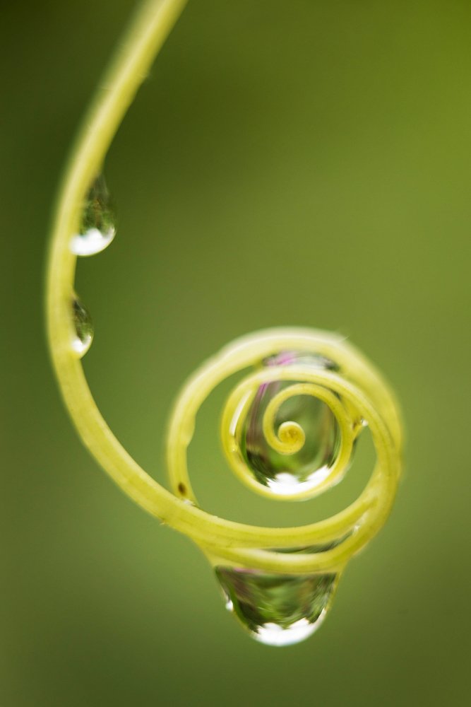 Photograph by Олеся