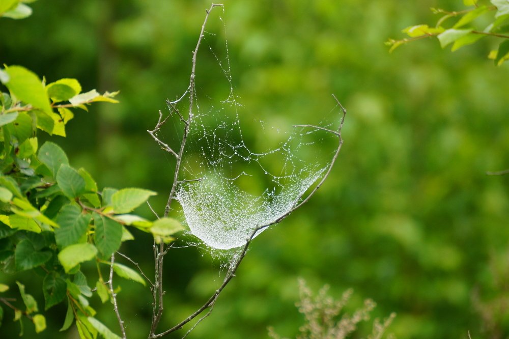 Photograph by Юлия Лихачева