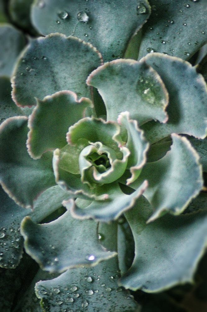 Photograph by Надежда Тарасенко