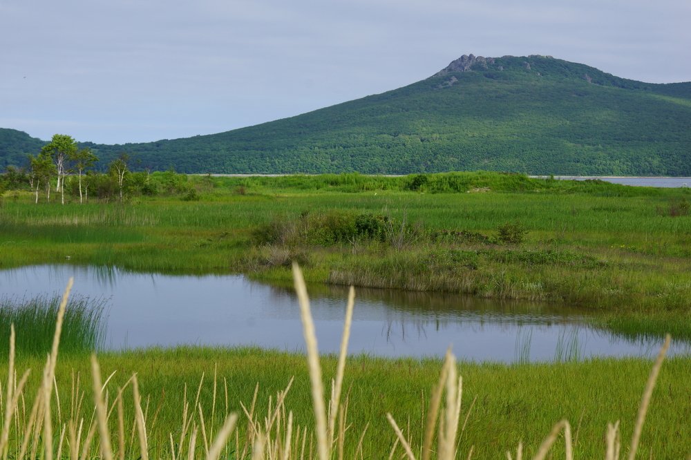 Photograph by Юлия Лихачева