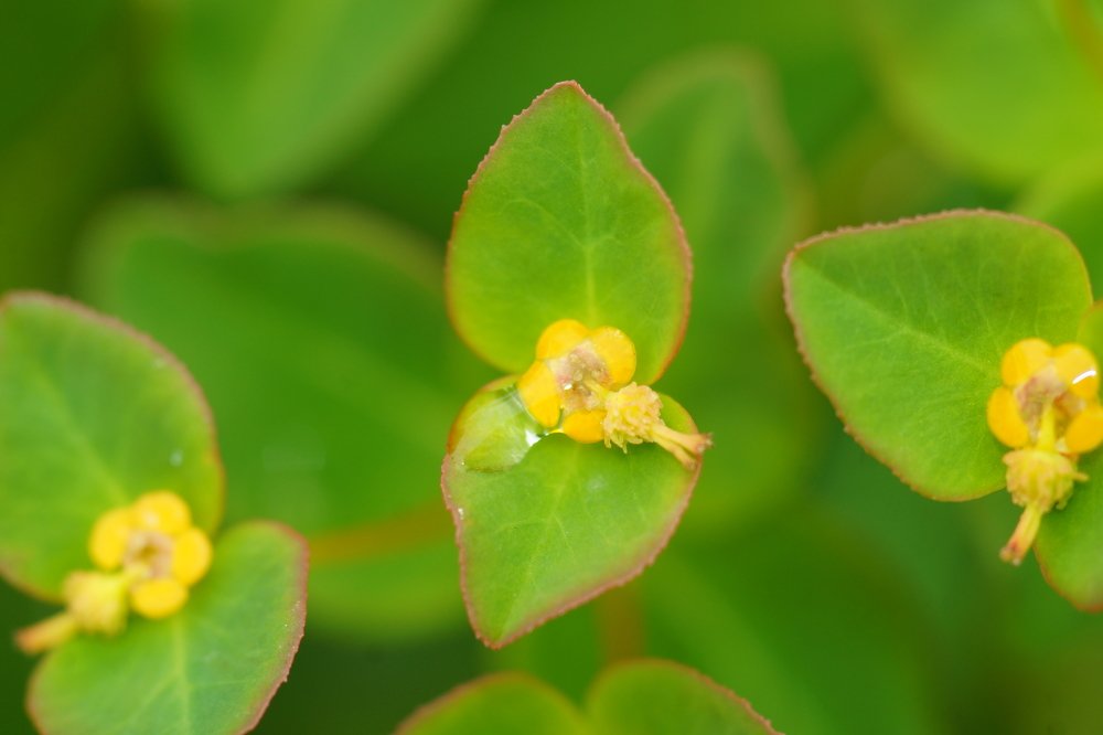 Photograph by Юлия Лихачева