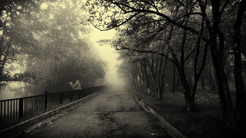 Фотография автора Степан Давыдов