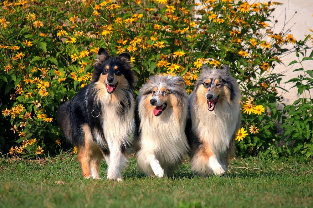 Photograph by Олег