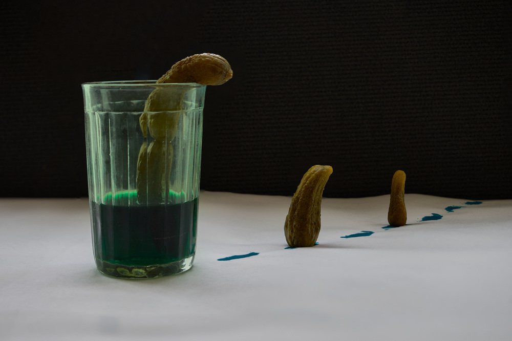 Photograph by Владимир