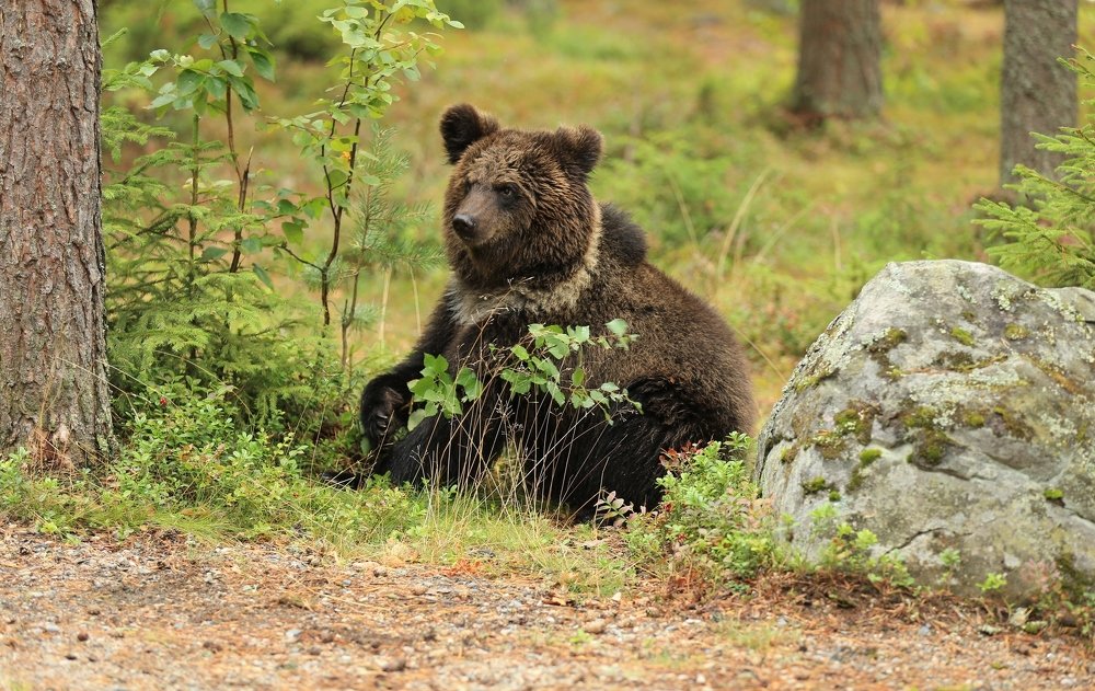 Фотография автора Юрий Кетель