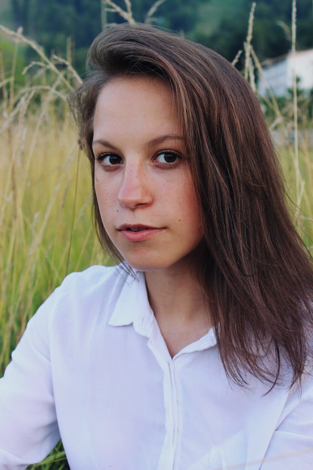 Photo #3769880