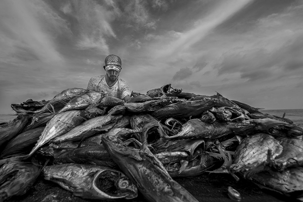 Photograph by Madhusha Senavirathna