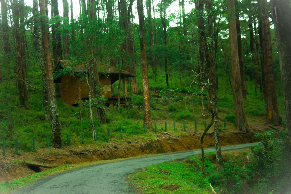 Photograph by saravanan