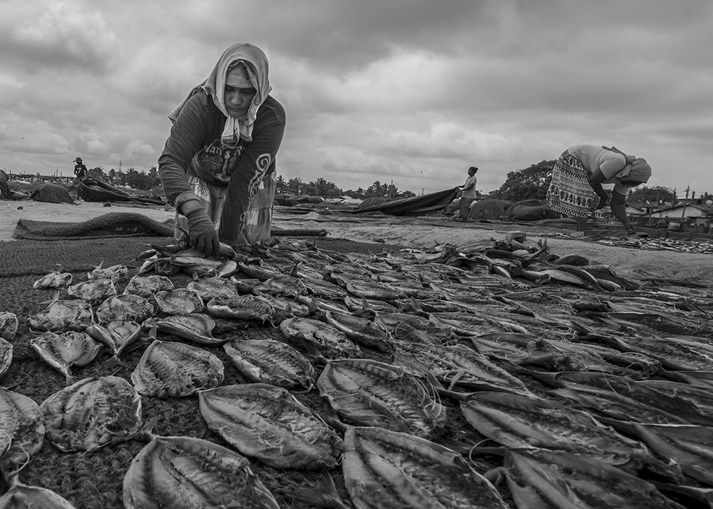 Photograph by Madhusha Senavirathna